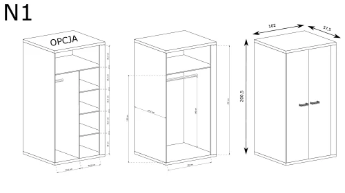 N1-pdf.webp